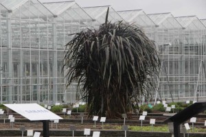 Smith Gardens, Marysville, WA