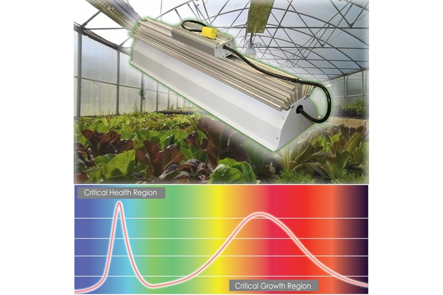 LED Lighting Solutions For Your Greenhouse
