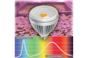 LED Lighting Solutions For Your Greenhouse