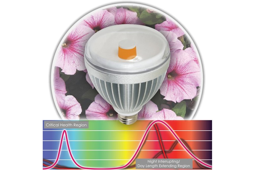 LED Lighting Solutions For Your Greenhouse