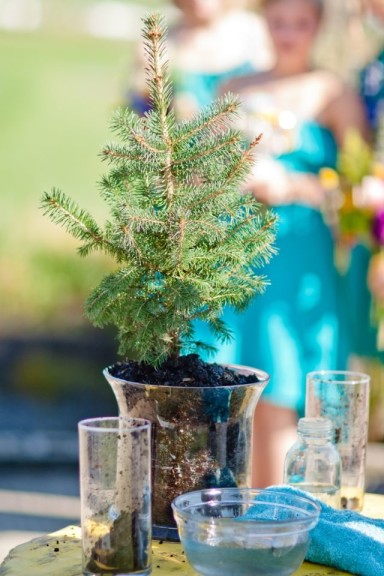 Tree planting ceremony for weddings