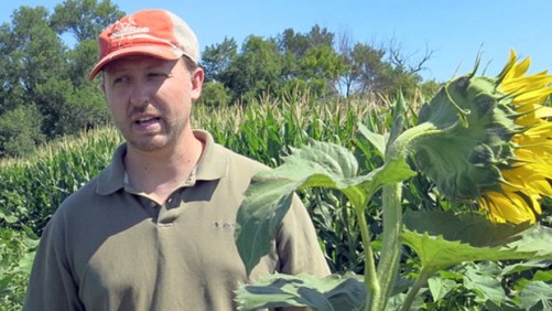 USDA Bee Scientist Alleges He Was Punished For Reporting On Neonicotinoids