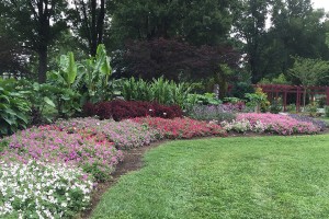 2015 University of Tennessee Field Trials