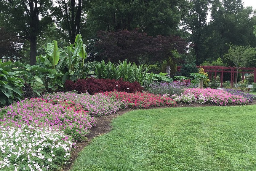 2015 University of Tennessee Field Trials