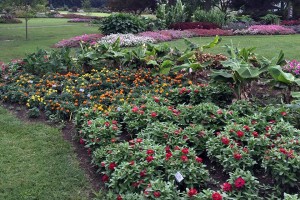 2015 University of Tennessee Field Trials