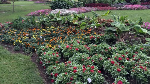 2016 University of Tennessee Field Trials Results