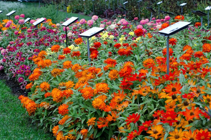 2015 Massachusetts Horticultural Society Field Trials
