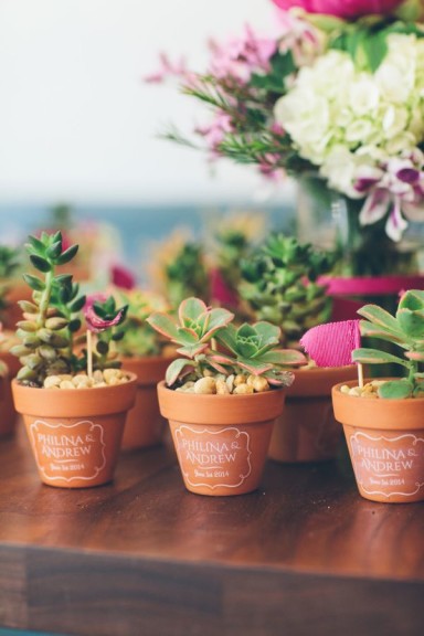 Potted mini plants can work as tree ornaments (wired to branches) or as name holders at the table.