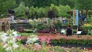 Neighbors Concerned About Your Garden Store’s Runoff? How To Prevent A PR Nightmare