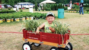 Allan Armitage Explains Why People Will Always Want To Buy Plants