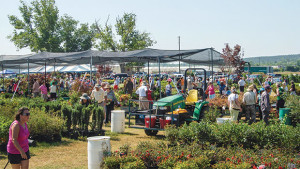 Plant Sale Helps Power Future of Florida Horticulture Industry