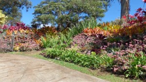 The Landscape Show is Back; Here’s All the Details