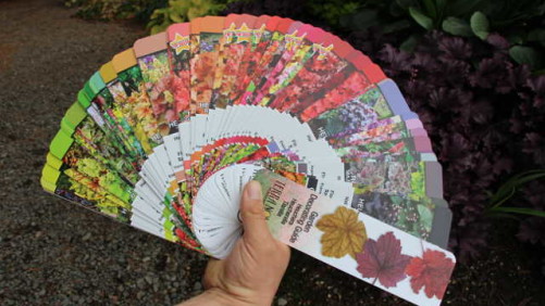 Terra Nova Nurseries Releases New Garden Decorating Guide