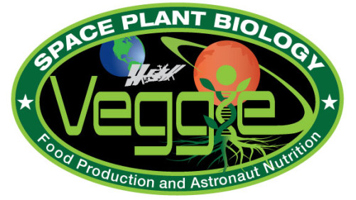 International Space Station Could Soon Include A Garden