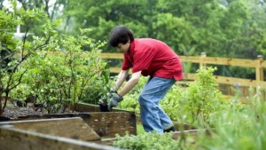 Consumer Trends Garden Retailers Can Leverage In 2016