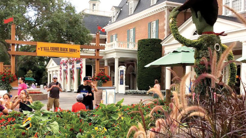 Foodscaping Challenges Conventional Ideas About Landscaping