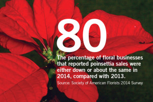 Pity The Poor Poinsettia