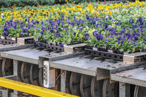 Plant Handling Made Easy