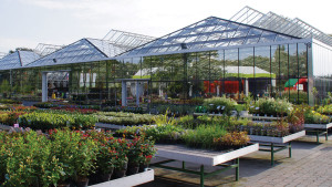 Looking to Finance a New Greenhouse Project? Heed This Helpful Advice