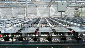 Political Stalemate On Labor Means Your Opportunity To Automate