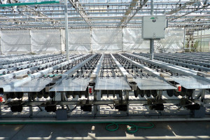 Plant Handling Made Easy