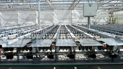 Political Stalemate On Labor Means Your Opportunity To Automate