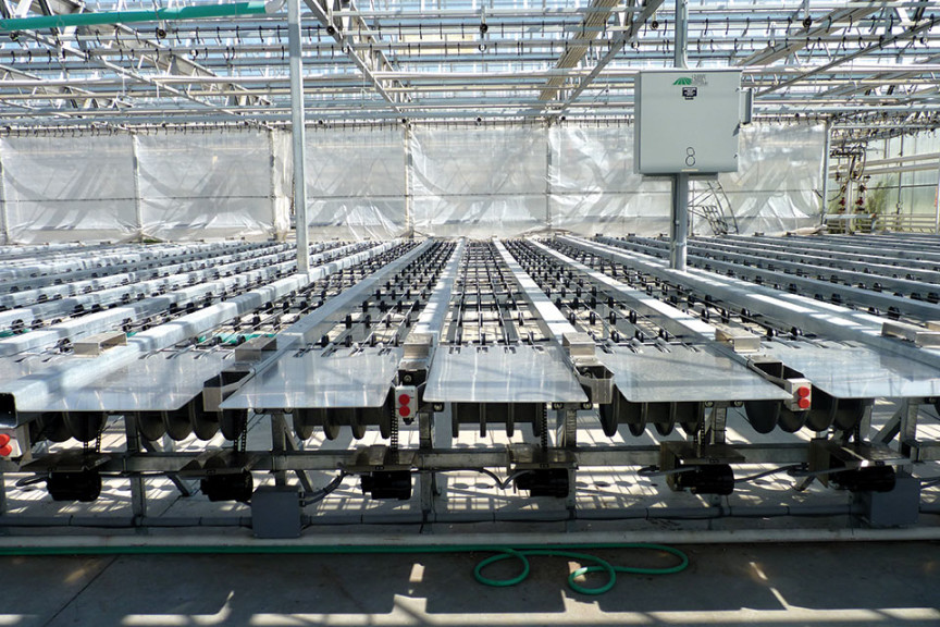 Plant Handling Made Easy