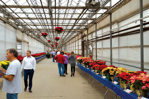 #1: Top 100 Greenhouse Grower Dan Schantz Greenhouses Set to Shut Down
