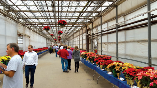 Top 100 Greenhouse Grower Dan Schantz Greenhouses Set to Shut Down