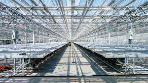 Plant Handling Made Easy