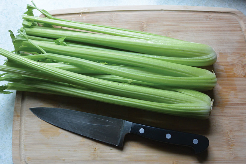 Feasibility Of Hydroponic Celery Production