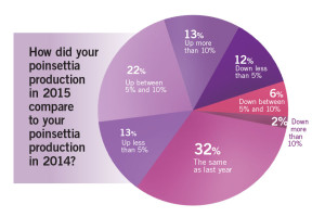 Poinsettia Survey 2015