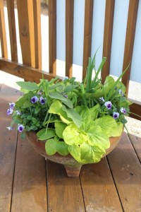 Costa Farms Season Premier 2016