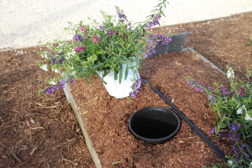 Costa Farms Season Premier 2016