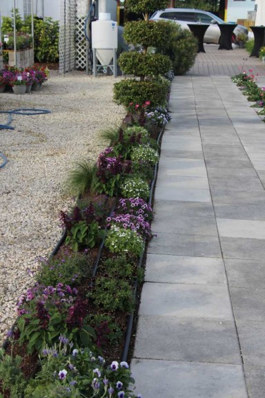 Costa Farms Season Premier 2016