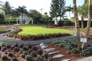 Costa Farms Season Premier 2016