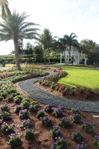 Costa Farms Season Premier 2016