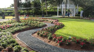 Costa Farms’ Season Premier Provides Sneak Peek At New Varieties For 2017