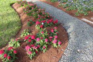 Costa Farms Season Premier 2016