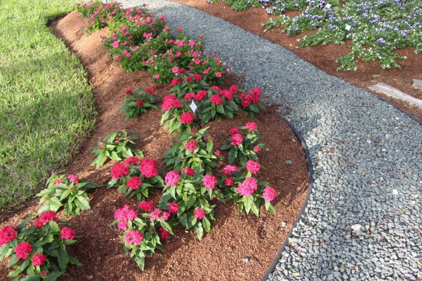 Costa Farms Season Premier 2016