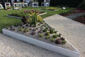 Costa Farms Season Premier 2016