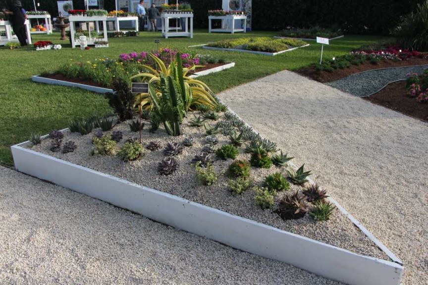 Costa Farms Season Premier 2016