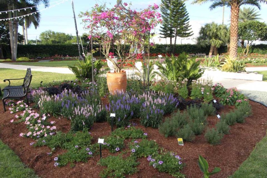 Costa Farms Season Premier 2016