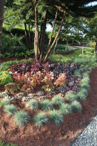 Costa Farms Season Premier 2016