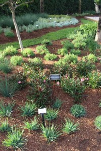 Costa Farms Season Premier 2016