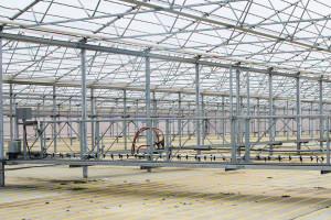 Plant Handling Made Easy