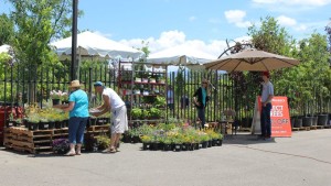 Vendor Day At Osuna Nursery Draws Gardeners And Builds Vendor Relationships