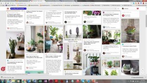 Tropical And Indoor Foliage Plant Trends