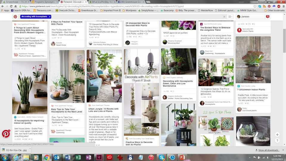 Tropical And Indoor Foliage Plant Trends