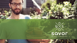 19 Strategies To Strengthen The Horticulture Industry